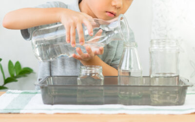 Practical Life At Every Age: Promoting Self-Sufficiency, Self-Assurance, and Fundamental Life Skills