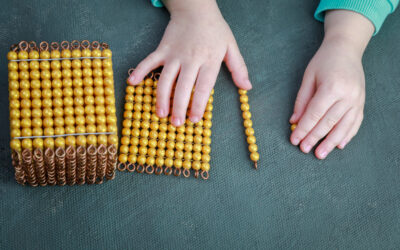 Montessori Materials: The Role of Montessori Materials in Education